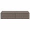 vidaXL - Tuinbox - 220x50x58 - cm - poly - rattan - grijs