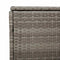 vidaXL - Tuinbox - 220x50x58 - cm - poly - rattan - grijs