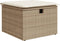 vidaXL - Tuinkruk - met - kussen - 55x55x37 - cm - poly - rattan - beige