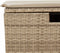 vidaXL - Tuinkruk - met - kussen - 55x55x37 - cm - poly - rattan - beige