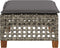 vidaXL - Tuinkruk - met - kussen - 63,5x56x32 - cm - poly - rattan - grijs