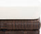 vidaXL - Tuinkrukken - 2 - st - met - kussens - poly - rattan - bruin