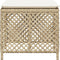 vidaXL - Tuinkrukken - 4 - st - met - kussens - 41x41x36 - cm - poly - rattan - beige