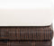 vidaXL - Tuinkrukken - 4 - st - met - kussens - poly - rattan - bruin