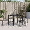 vidaXL - Tuinkrukken - 4 - st - poly - rattan - zwart