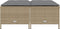 vidaXL - Tuinkrukken - met - kussens - 4 - st - poly - rattan - beige