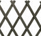 vidaXL - Tuinlatwerk - 120x60 - cm - massief - vurenhout - grijs
