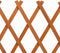 vidaXL - Tuinlatwerk - 120x60 - cm - massief - vurenhout - oranje