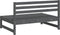 vidaXL - Tuinmiddenbanken - 2 - st - 120x80 - cm - massief - grenenhout - grijs