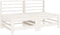 vidaXL - Tuinmiddenbanken - 2 - st - massief - grenenhout - wit