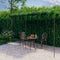 vidaXL-Tuinpergola-3x3x2,5-m-ijzer-antiekbruin