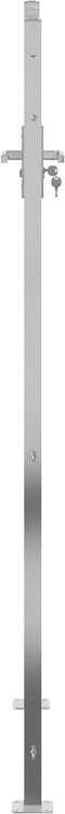 vidaXL - Tuinpoort - 100x200 - cm - roestvrij - staal