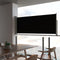 vidaXL - Tuinscherm - uittrekbaar - 100x300 - cm - zwart