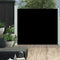 vidaXL - Tuinscherm - uittrekbaar - 100x300 - cm - zwart