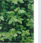vidaXL - Tuinschermen - 4 - st - 35x0,19 - m - PVC - groen