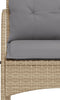 vidaXL - Tuinschommelstoel - met - kussens - poly - rattan - beige