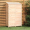vidaXL - Tuinschuur - 102x52x112 - cm - massief - vurenhout - antracietkleurig