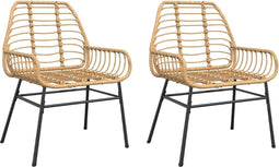 vidaXL - Tuinstoel - bruin - poly - rattan - 2 - st