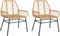 vidaXL - Tuinstoel - bruin - poly - rattan - 2 - st