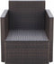 vidaXL - Tuinstoel - met - kussens - poly - rattan - bruin