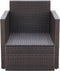 vidaXL - Tuinstoel - met - kussens - poly - rattan - bruin