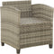 vidaXL - Tuinstoel - met - kussens - poly - rattan - grijs