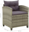 vidaXL - Tuinstoel - met - kussens - poly - rattan - grijs