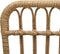 vidaXL - Tuinstoel - poly - rattan - lichtbruin