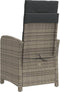 vidaXL - Tuinstoel - verstelbaar - met - kussens - poly - rattan - grijs