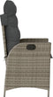 vidaXL - Tuinstoel - verstelbaar - met - kussens - poly - rattan - grijs