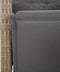 vidaXL - Tuinstoel - verstelbaar - met - voetensteun - poly - rattan - gemengd - beige