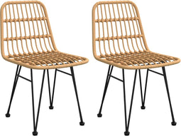 vidaXL - Tuinstoelen - 2 - st - 48x62 - 84 - cm - PE-rattan