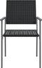 vidaXL - Tuinstoelen - 2 - st - 54x62,5x89 - cm - poly - rattan - zwart