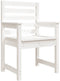 vidaXL - Tuinstoelen - 2 - st - 60x48x91 - cm - massief - grenenhout - wit