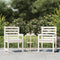 vidaXL - Tuinstoelen - 2 - st - 60x48x91 - cm - massief - grenenhout - wit