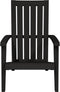vidaXL - Tuinstoelen - 2 - st - Adirondack - polypropeen - zwart