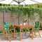 vidaXL - Tuinstoelen - 2 - st - bladpatroon - massief - acaciahout - en - stof