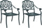 vidaXL - Tuinstoelen - 2 - st - gietaluminium - groen