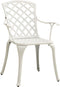 vidaXL - Tuinstoelen - 2 - st - gietaluminium - wit