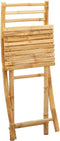 vidaXL - Tuinstoelen - 2 - st - inklapbaar - 43x54x88 - bamboe