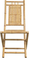 vidaXL - Tuinstoelen - 2 - st - inklapbaar - 46x66x99 - bamboe