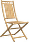 vidaXL - Tuinstoelen - 2 - st - inklapbaar - 46x66x99 - bamboe