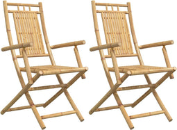 vidaXL - Tuinstoelen - 2 - st - inklapbaar - 53x66x99 - bamboe