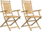 vidaXL - Tuinstoelen - 2 - st - inklapbaar - 53x66x99 - bamboe