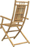 vidaXL - Tuinstoelen - 2 - st - inklapbaar - 53x66x99 - bamboe