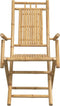 vidaXL - Tuinstoelen - 2 - st - inklapbaar - 53x66x99 - bamboe