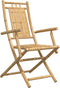 vidaXL - Tuinstoelen - 2 - st - inklapbaar - 53x66x99 - bamboe
