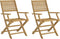 vidaXL - Tuinstoelen - 2 - st - inklapbaar - 54,5x61,5x86,5 - cm - acaciahout