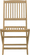 vidaXL - Tuinstoelen - 2 - st - inklapbaar - 57x48,5x90 - cm - massief - acaciahout