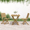 vidaXL - Tuinstoelen - 2 - st - inklapbaar - 57x48,5x90 - cm - massief - acaciahout